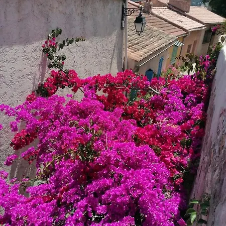 Beautiful Renovated With View- Old Hyeres